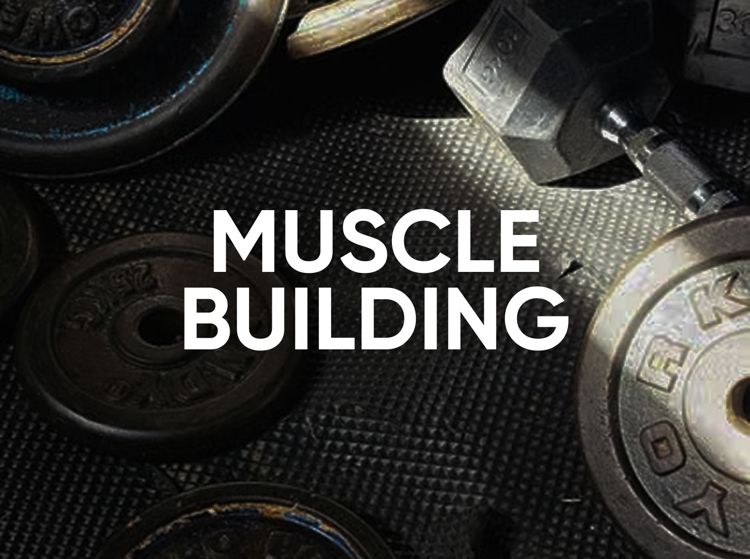 Muscle Building