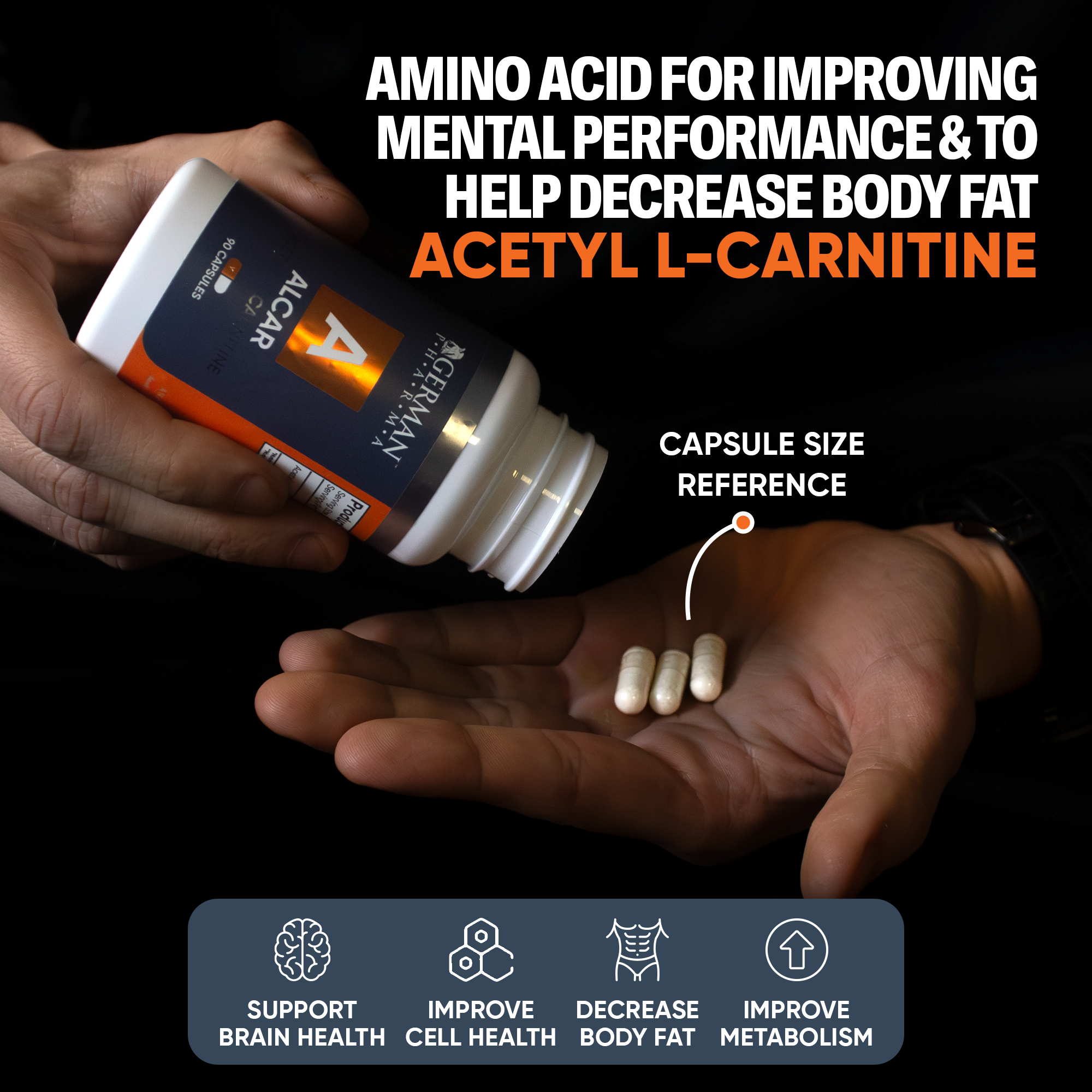 Acetyl-L-Carnitine (ALCAR)