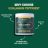 COLLAGEN PEPTIDES