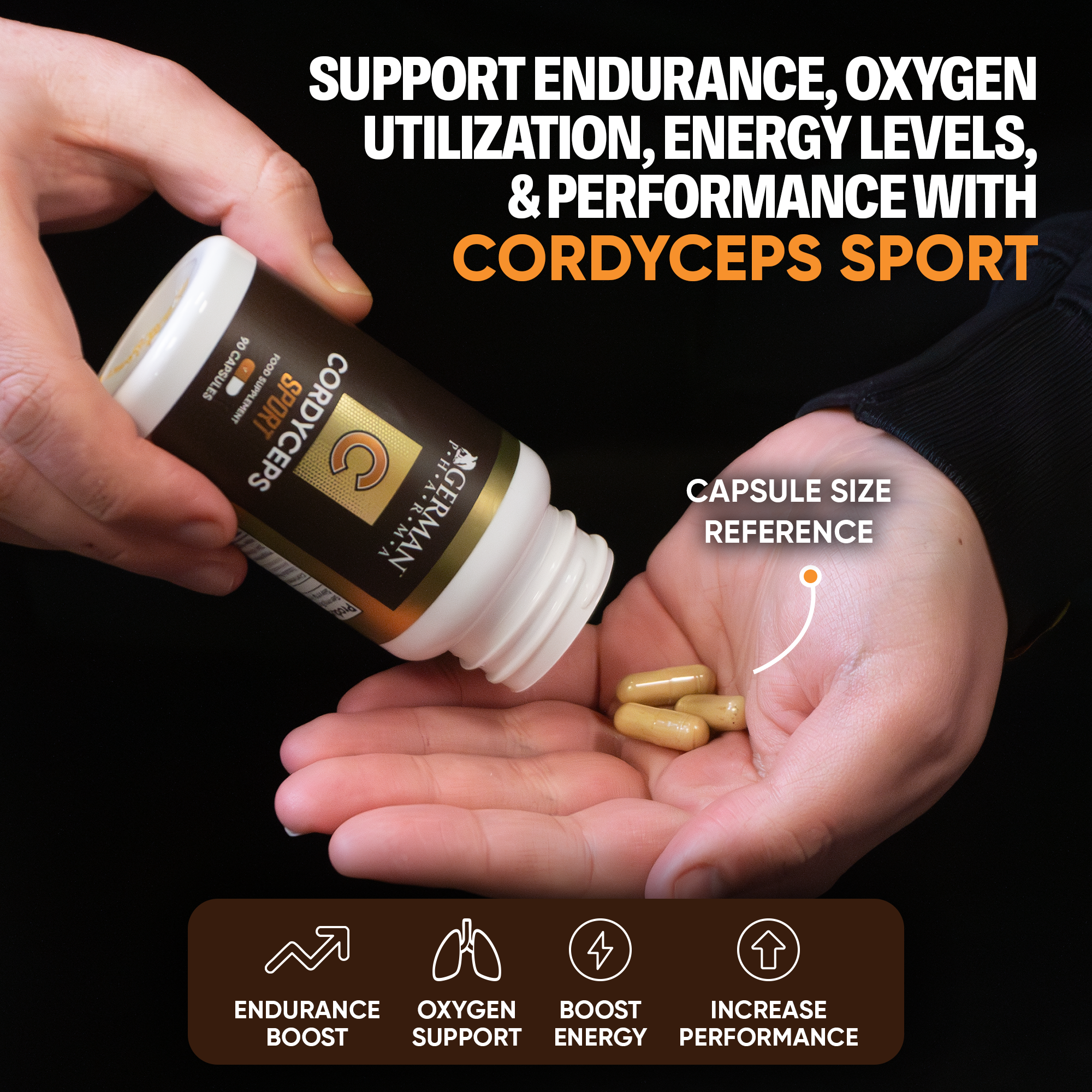 Cordyceps Sport