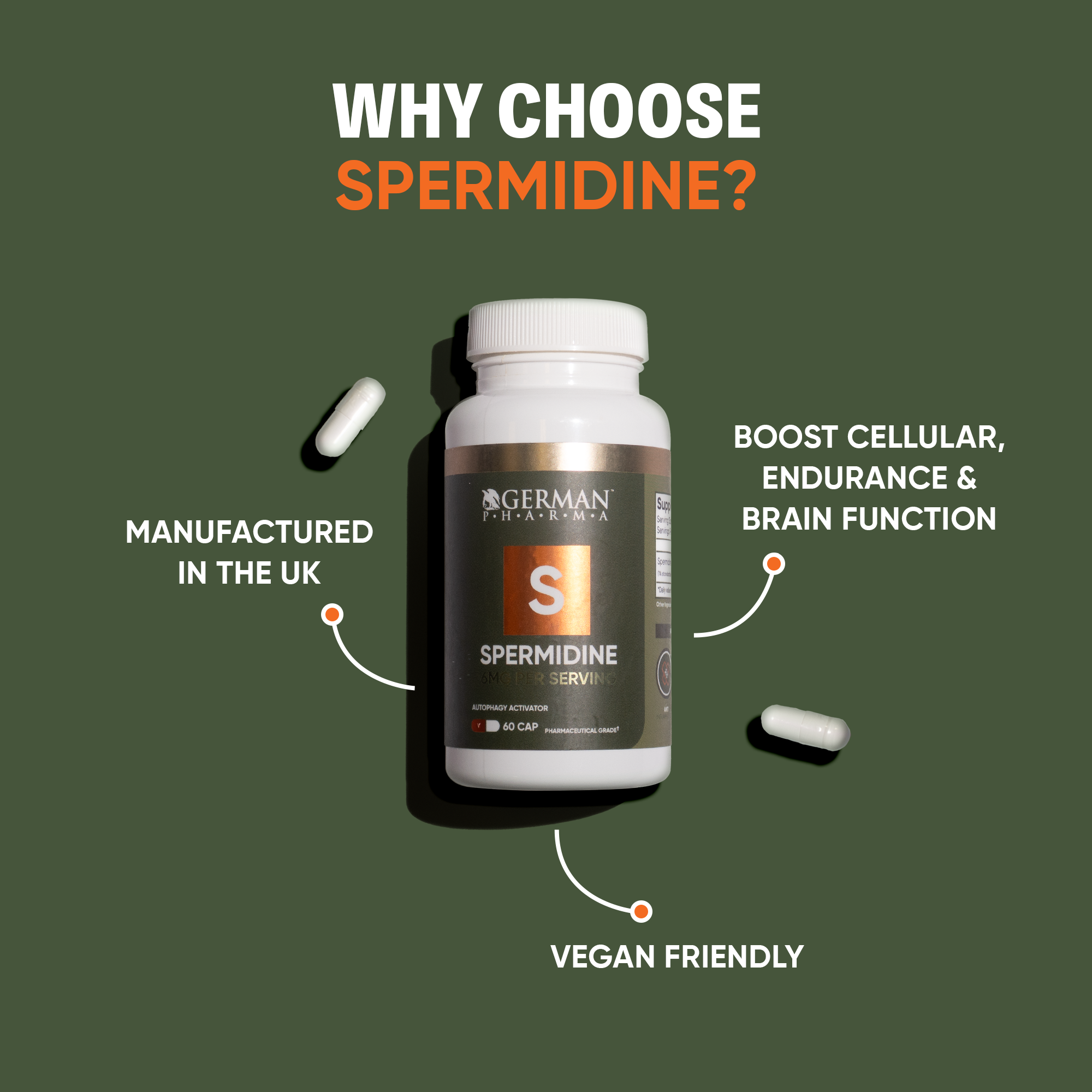 Spermidine