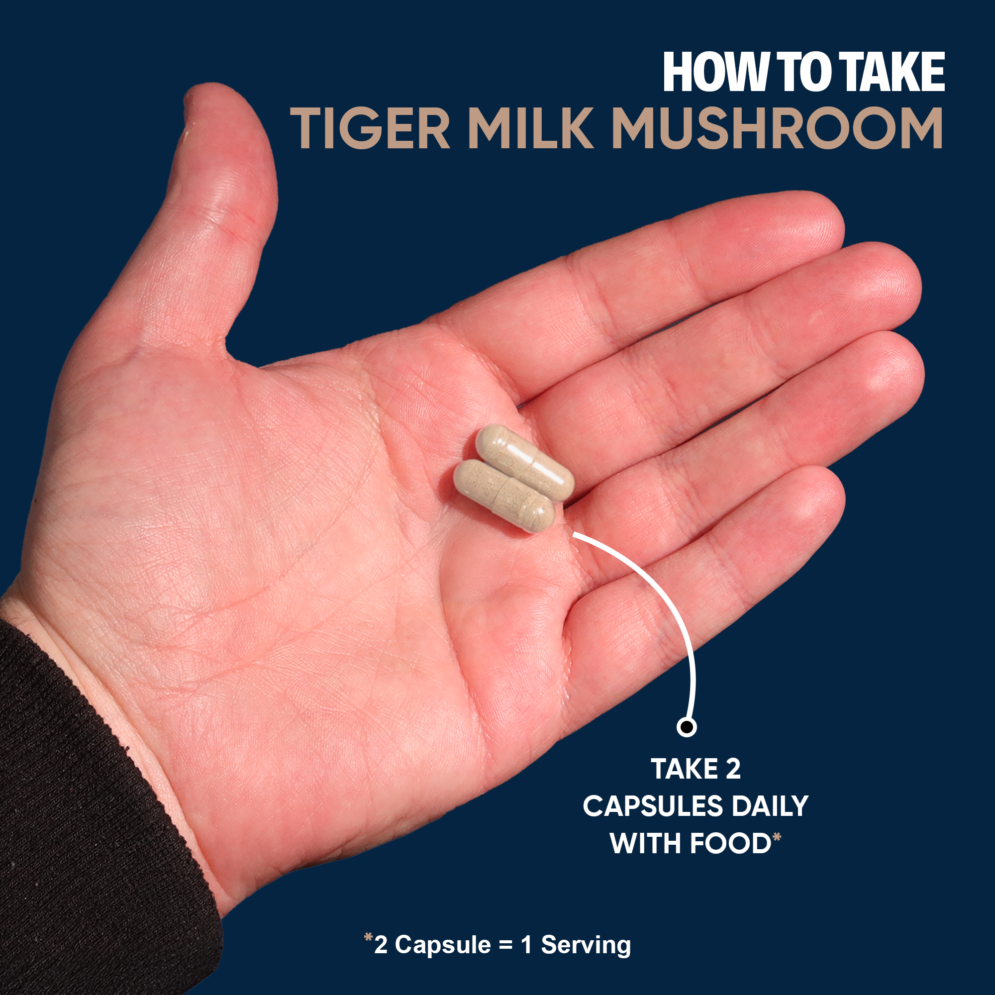 Tigers Milk Mushroom
